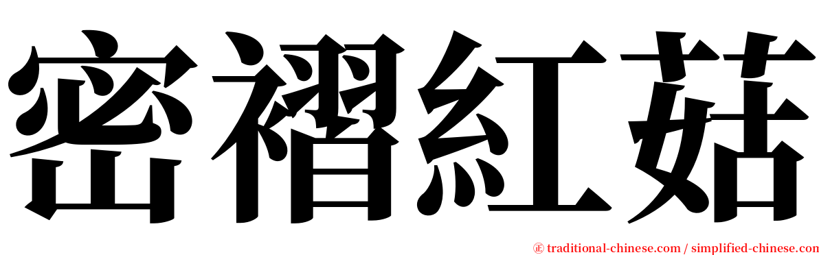 密褶紅菇 serif font