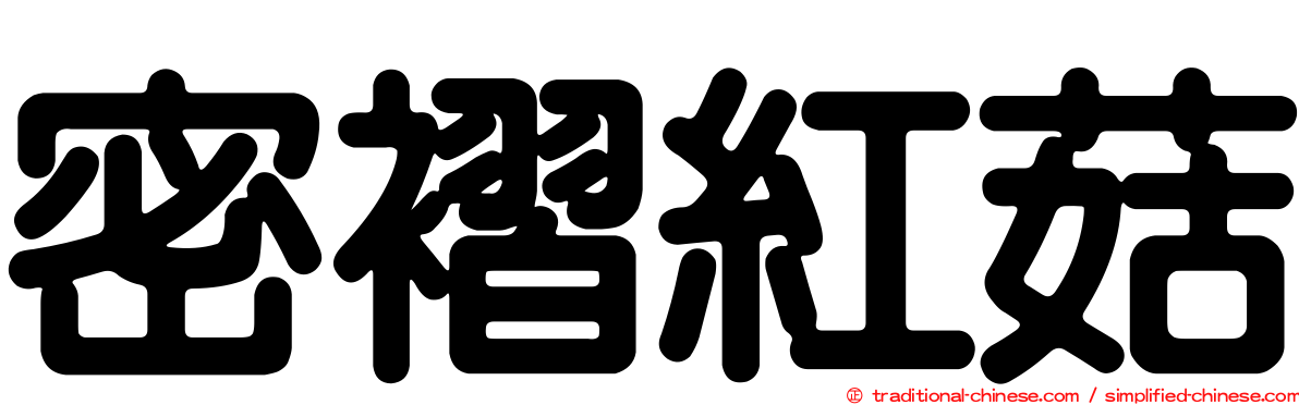 密褶紅菇