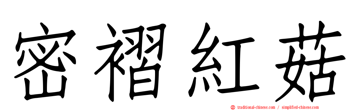 密褶紅菇