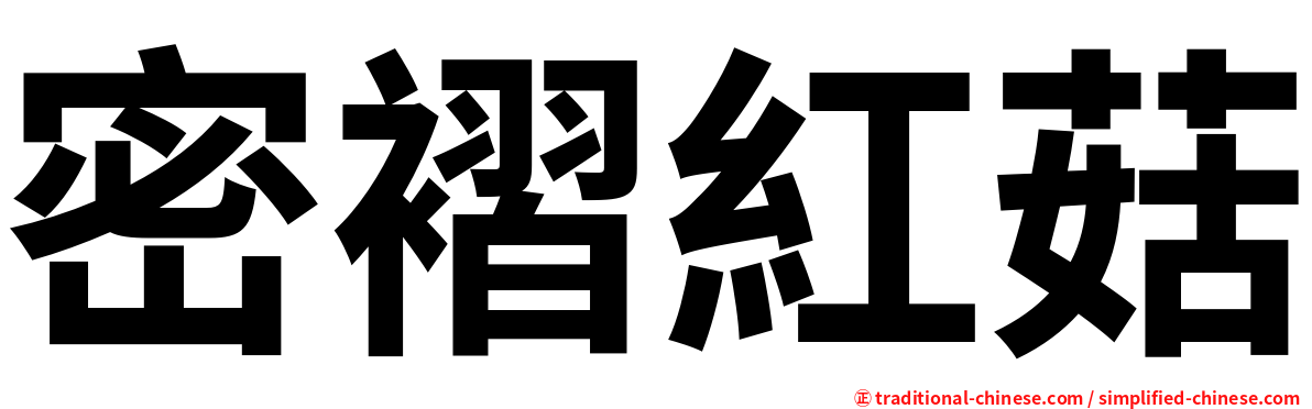 密褶紅菇