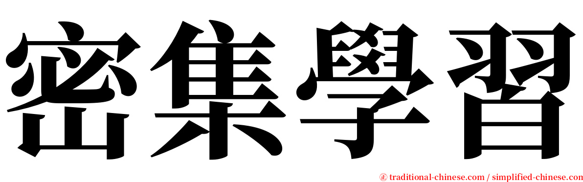 密集學習 serif font