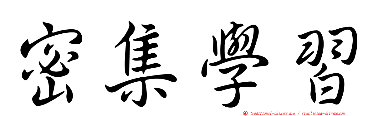 密集學習