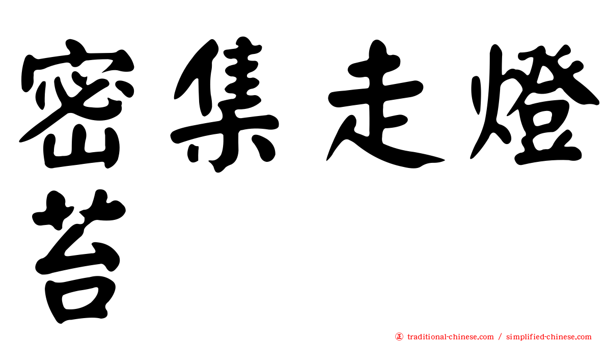 密集走燈苔