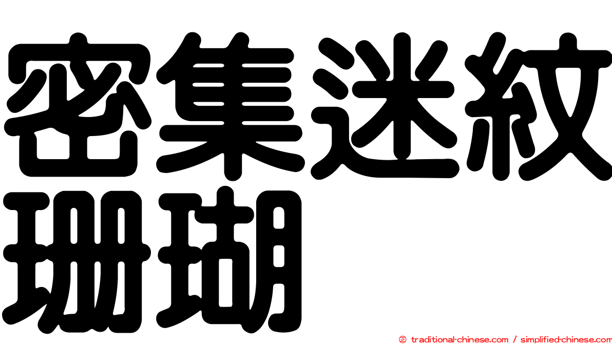 密集迷紋珊瑚