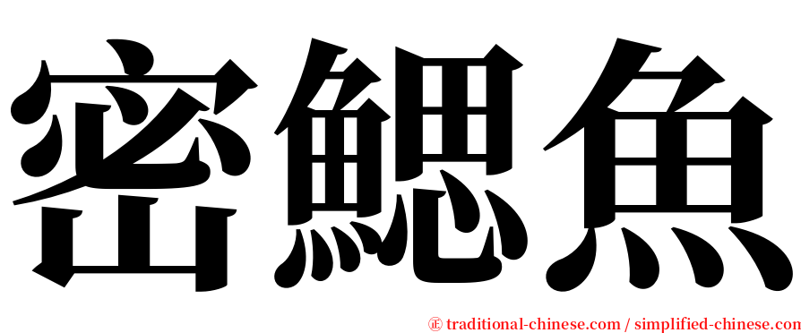 密鰓魚 serif font
