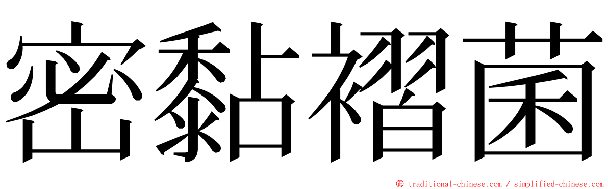 密黏褶菌 ming font