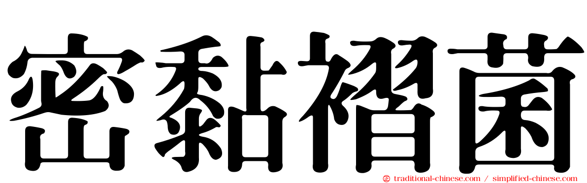 密黏褶菌