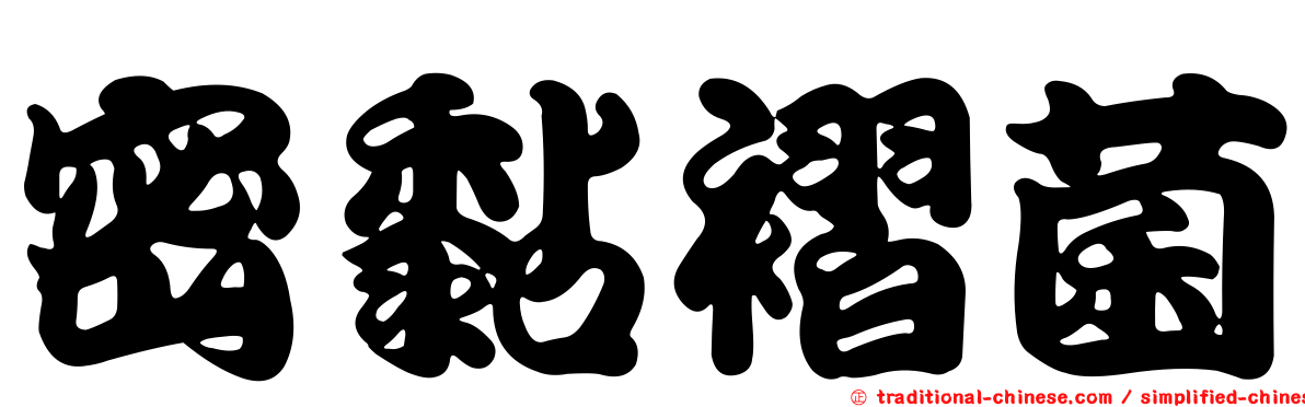 密黏褶菌