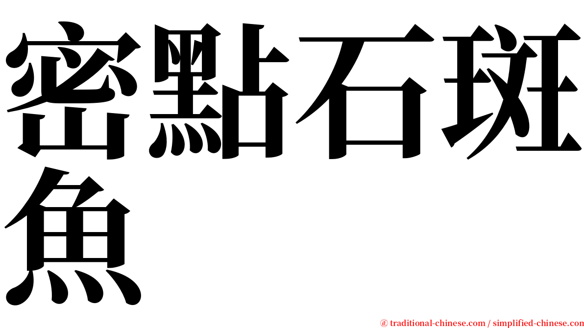 密點石斑魚 serif font