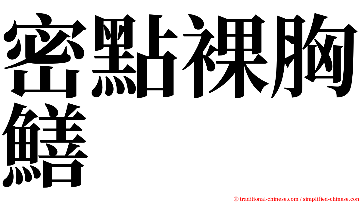 密點裸胸鱔 serif font
