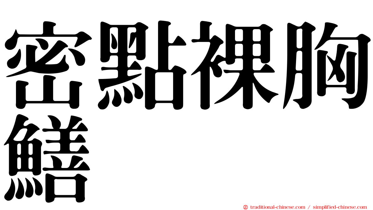 密點裸胸鱔