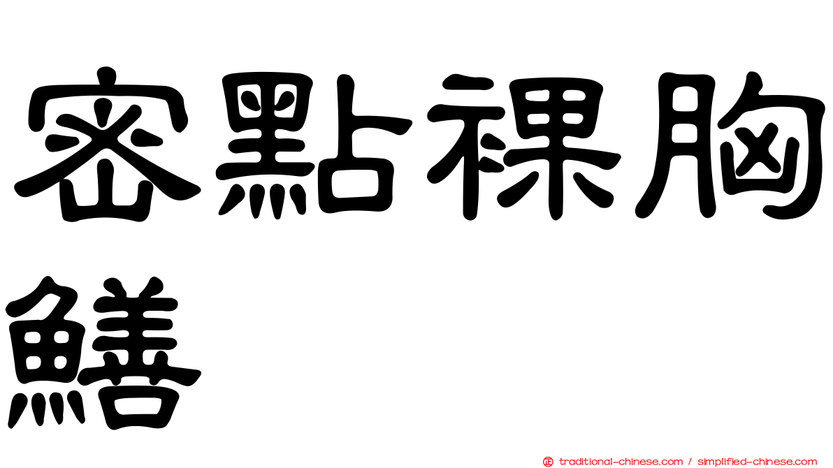 密點裸胸鱔