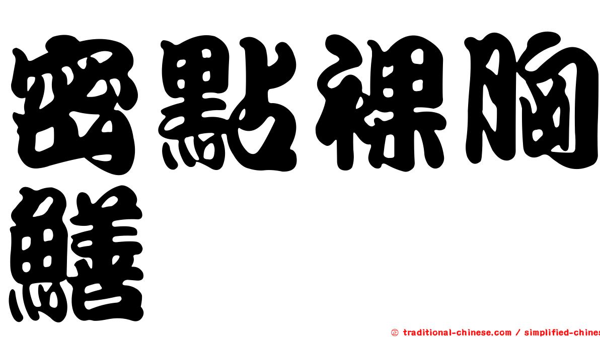 密點裸胸鱔