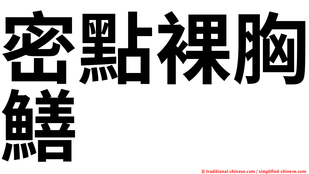密點裸胸鱔