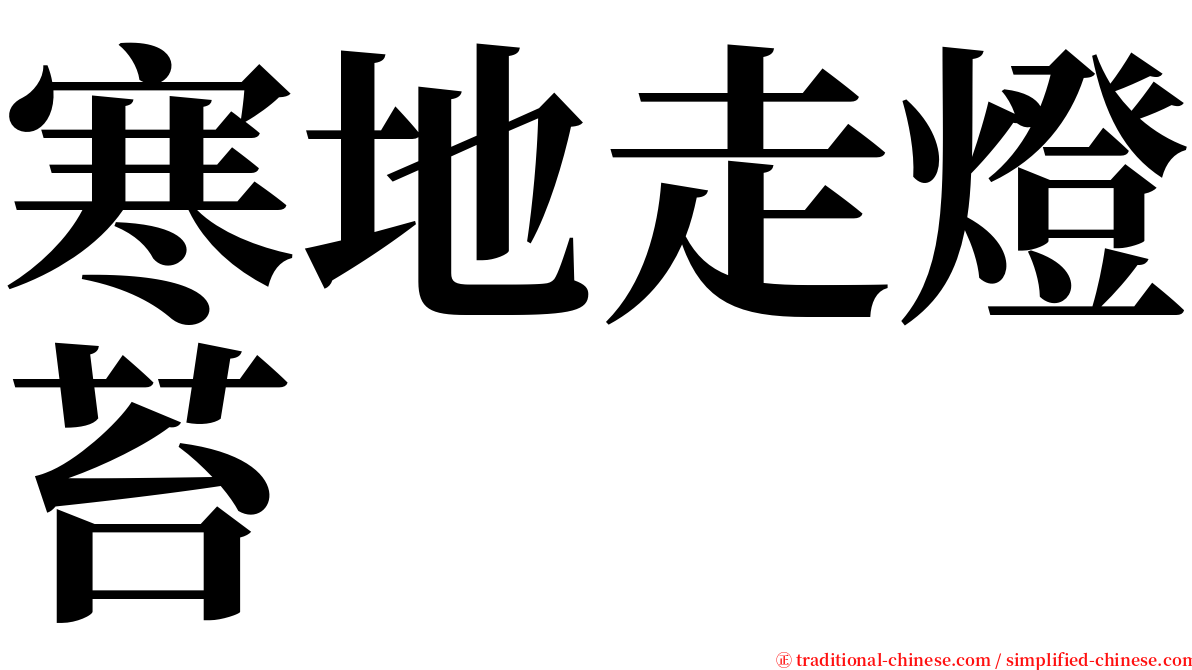 寒地走燈苔 serif font