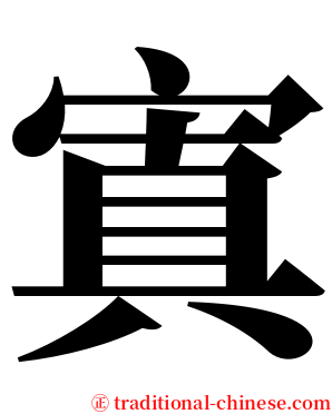 寘 serif font