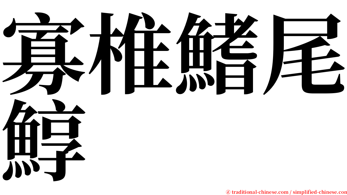 寡椎鰭尾鯙 serif font