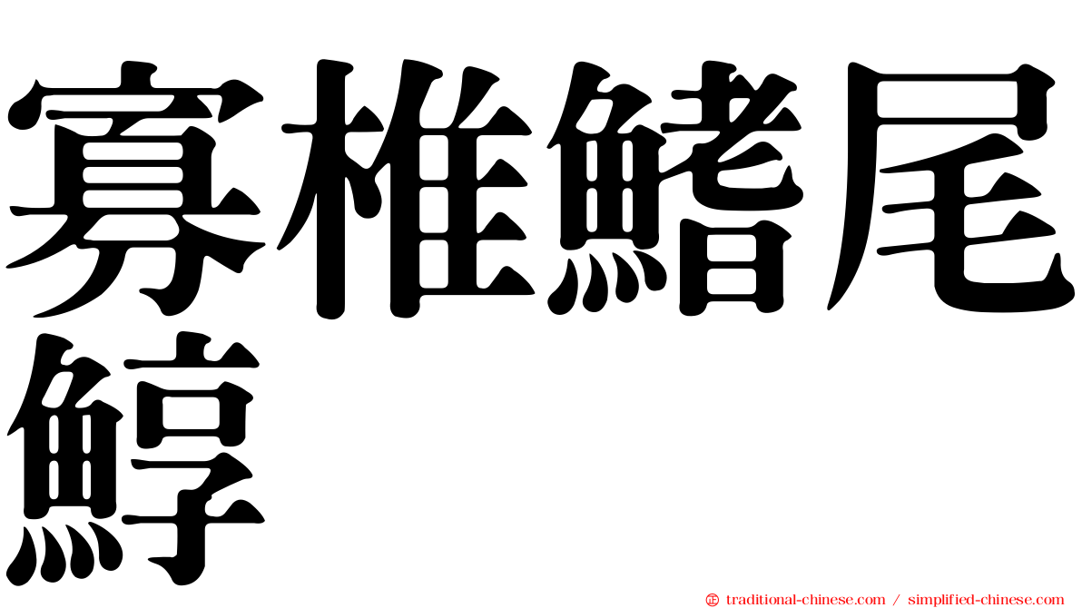 寡椎鰭尾鯙