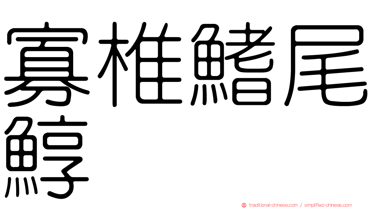 寡椎鰭尾鯙