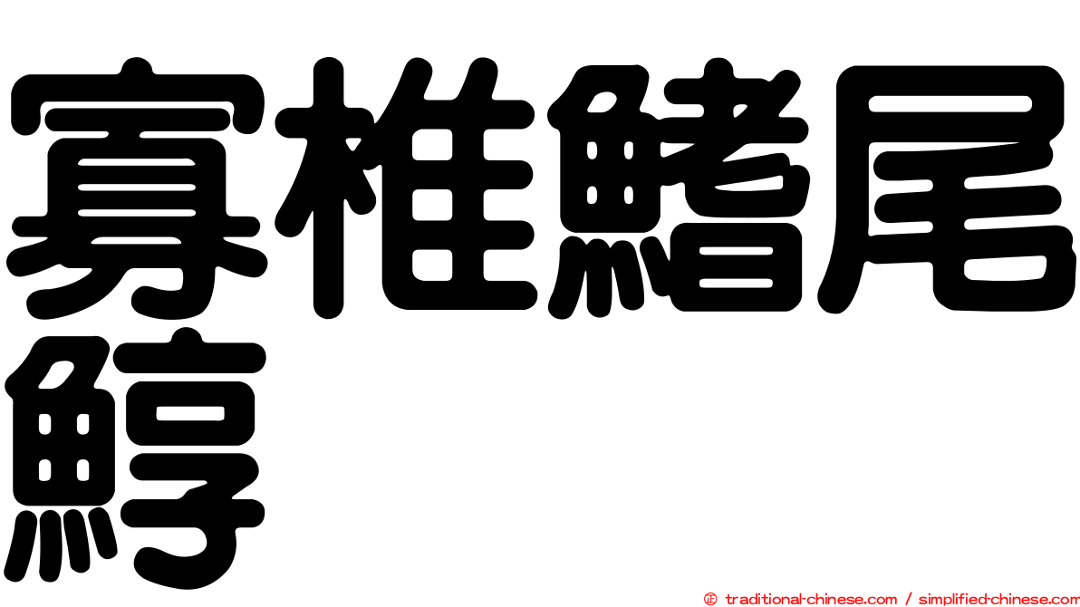 寡椎鰭尾鯙