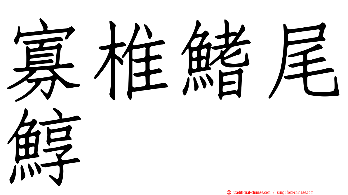 寡椎鰭尾鯙
