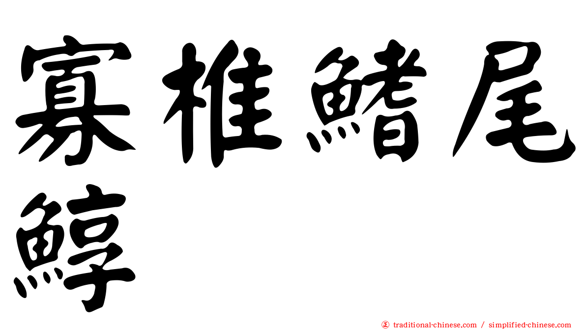 寡椎鰭尾鯙