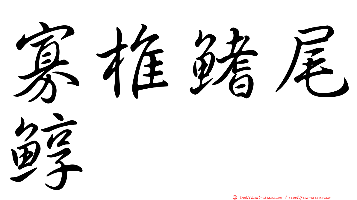 寡椎鰭尾鯙