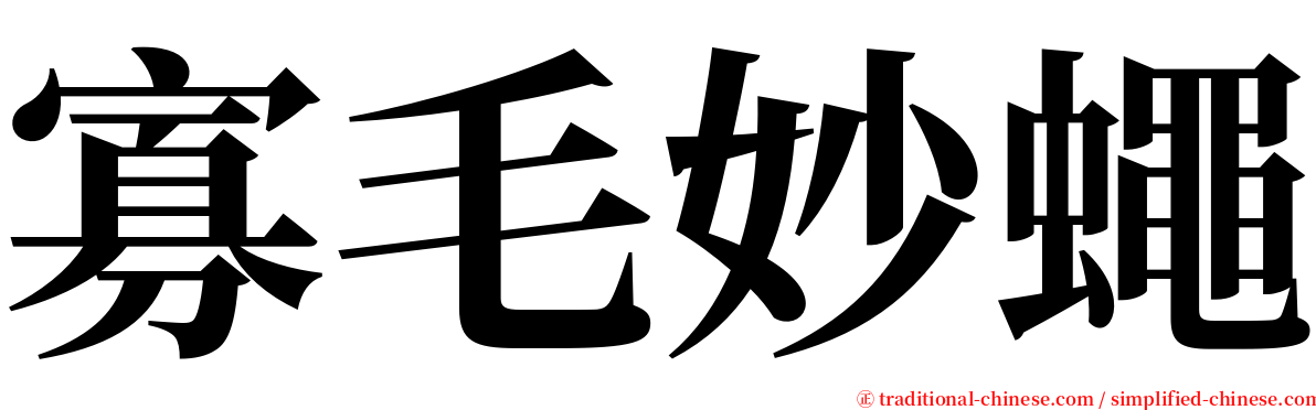 寡毛妙蠅 serif font
