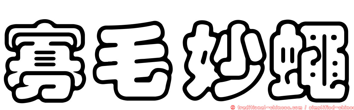 寡毛妙蠅