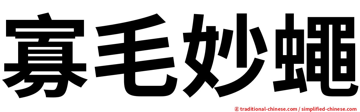 寡毛妙蠅