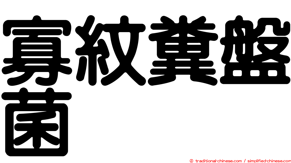 寡紋糞盤菌