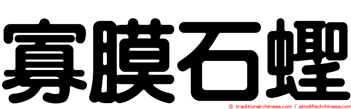 寡膜石蟶