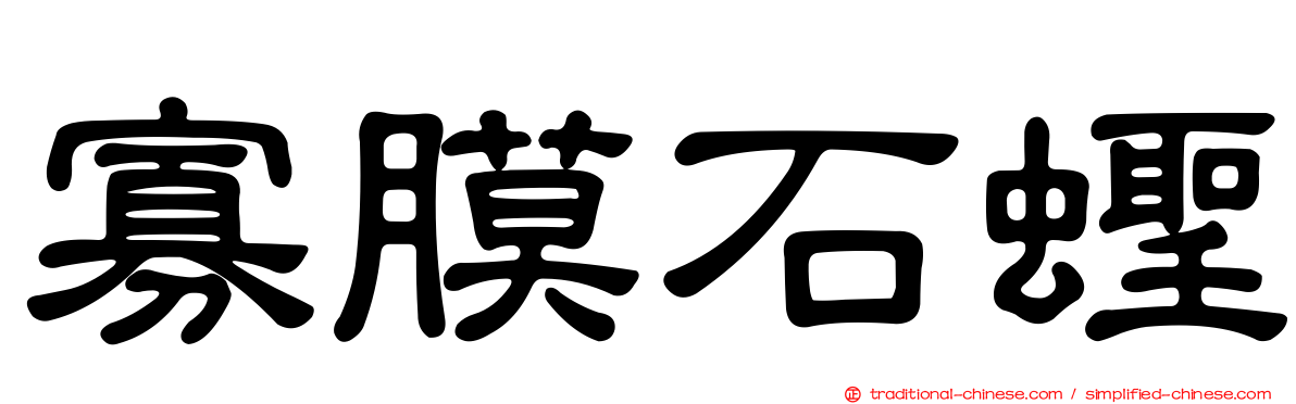 寡膜石蟶