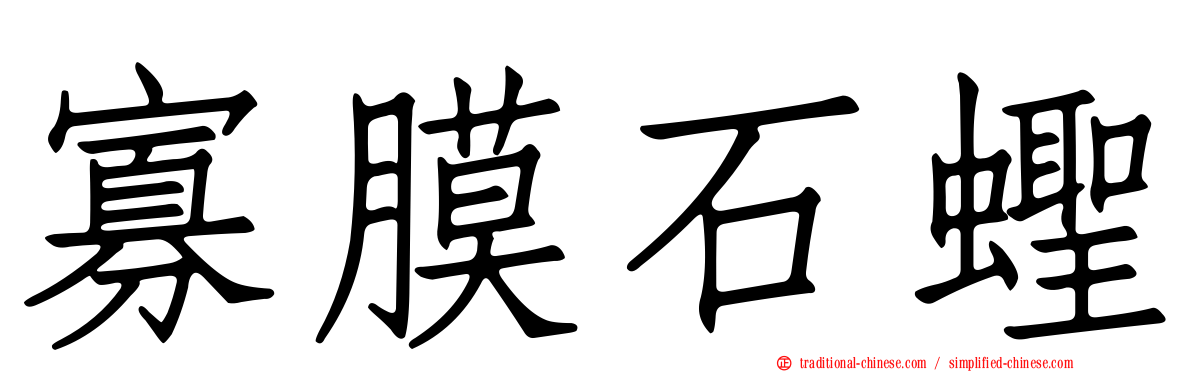 寡膜石蟶