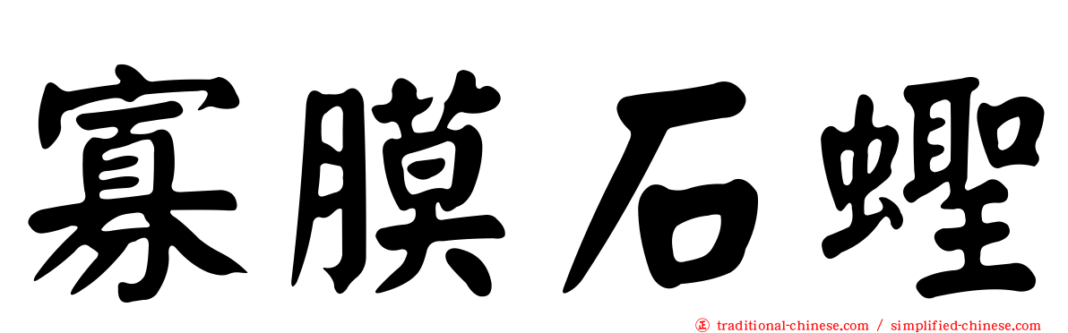 寡膜石蟶