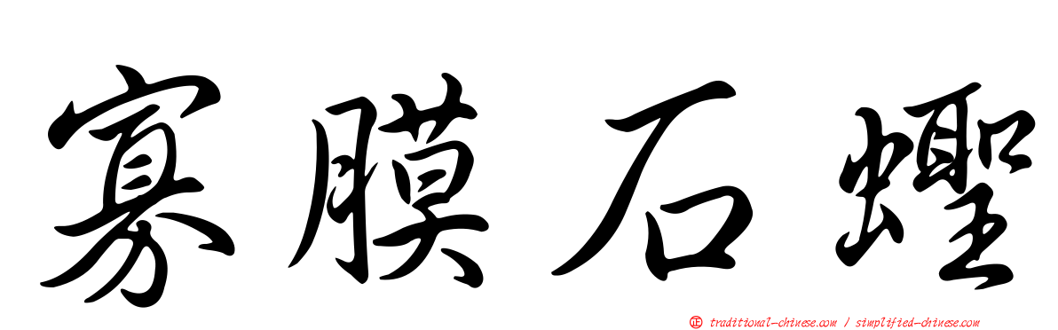 寡膜石蟶
