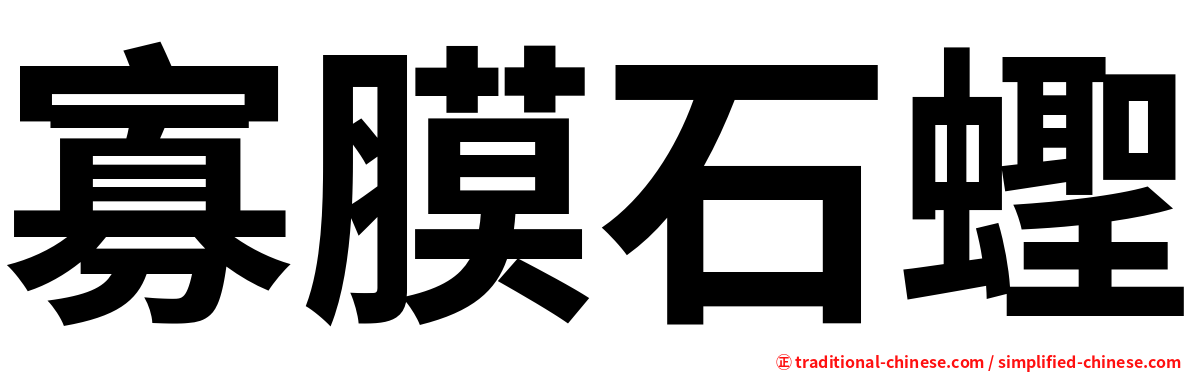 寡膜石蟶