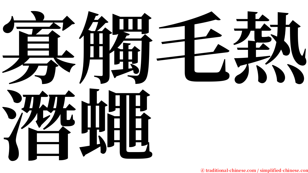 寡觸毛熱潛蠅 serif font