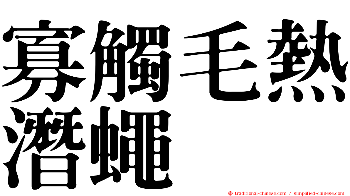 寡觸毛熱潛蠅