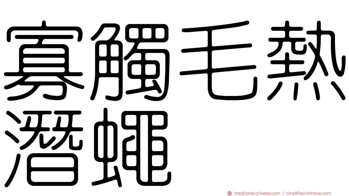 寡觸毛熱潛蠅