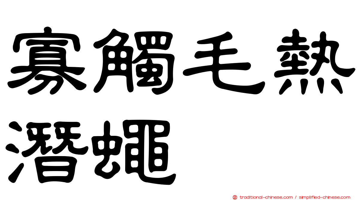 寡觸毛熱潛蠅