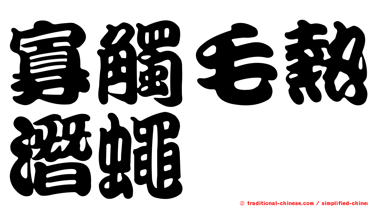 寡觸毛熱潛蠅