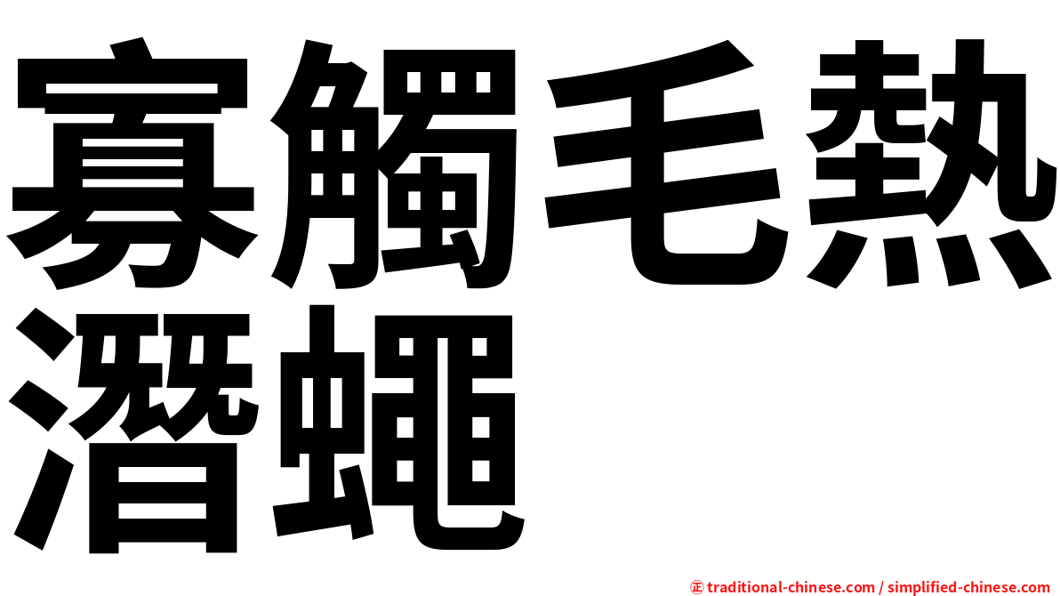 寡觸毛熱潛蠅