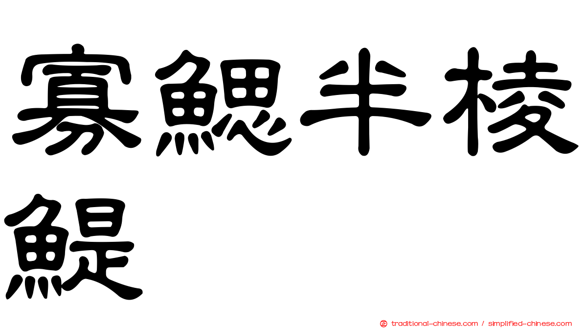 寡鰓半棱鯷