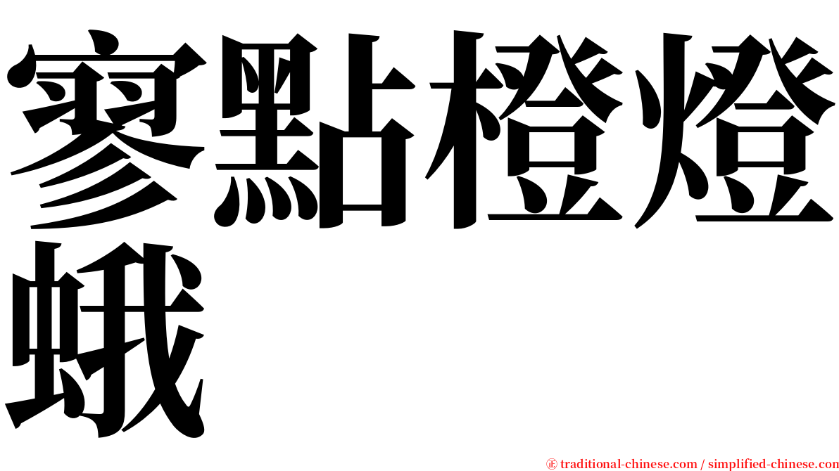 寥點橙燈蛾 serif font