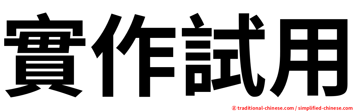 實作試用