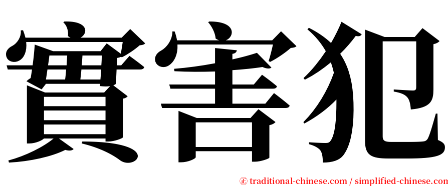 實害犯 serif font
