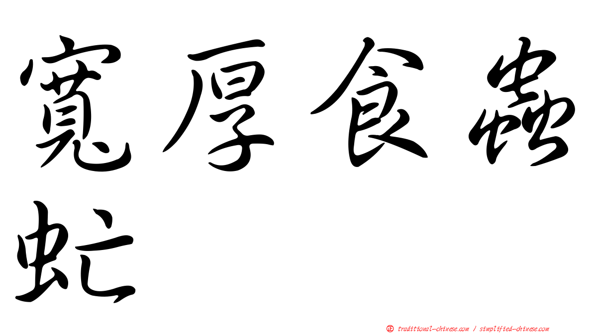 寬厚食蟲虻