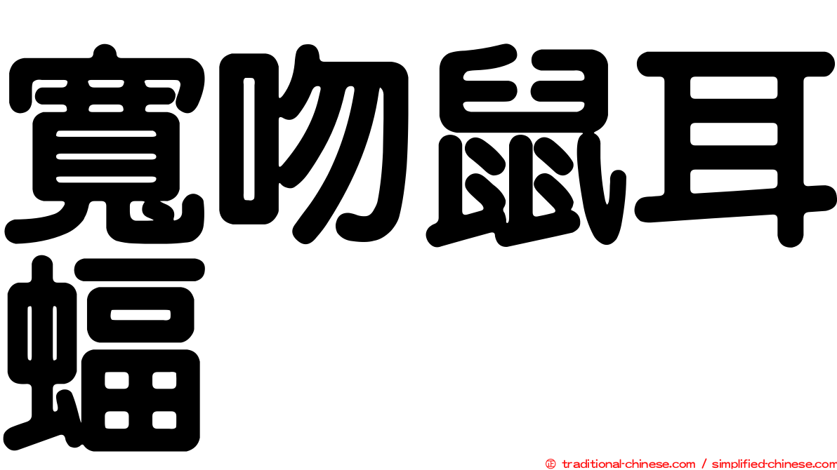 寬吻鼠耳蝠