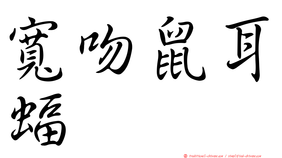 寬吻鼠耳蝠